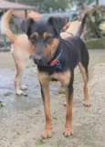 Hugo