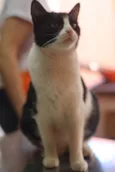 Barbara