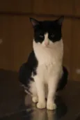 Barbara