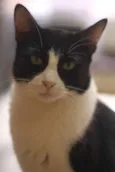 Barbara