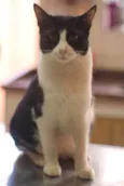Barbara