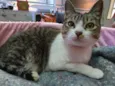 Ludmilla