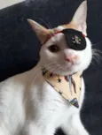 Henry