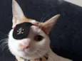 Henry