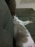 Mãezinha e Principe