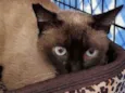Salvador