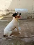 Bolt
