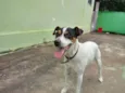 Bolt