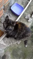 Luna Linda
