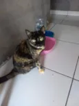 Luna Linda