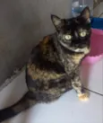 Luna Linda