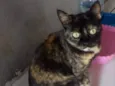 Luna Linda