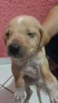 Sem nome