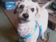 Kinho