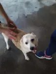 Pri