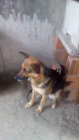 Bombom