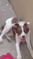 Nina