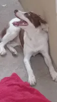 Nina