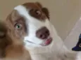 Nina