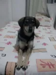 Kiara