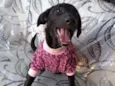 SOL