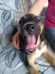 SOL