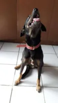 SPIKE