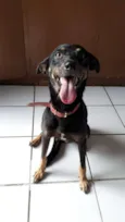 SPIKE