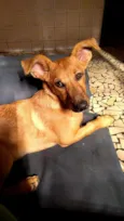 Xena