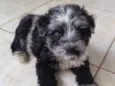 Bob 