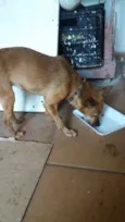 Não sei