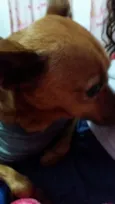 Não sei