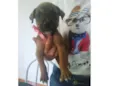 Não tem