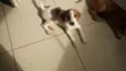 Não tem nome 