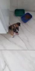 Não tem 