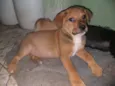 Brotherzinho