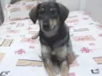 Kiara