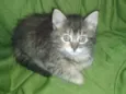 Molly