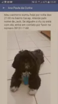 Jack