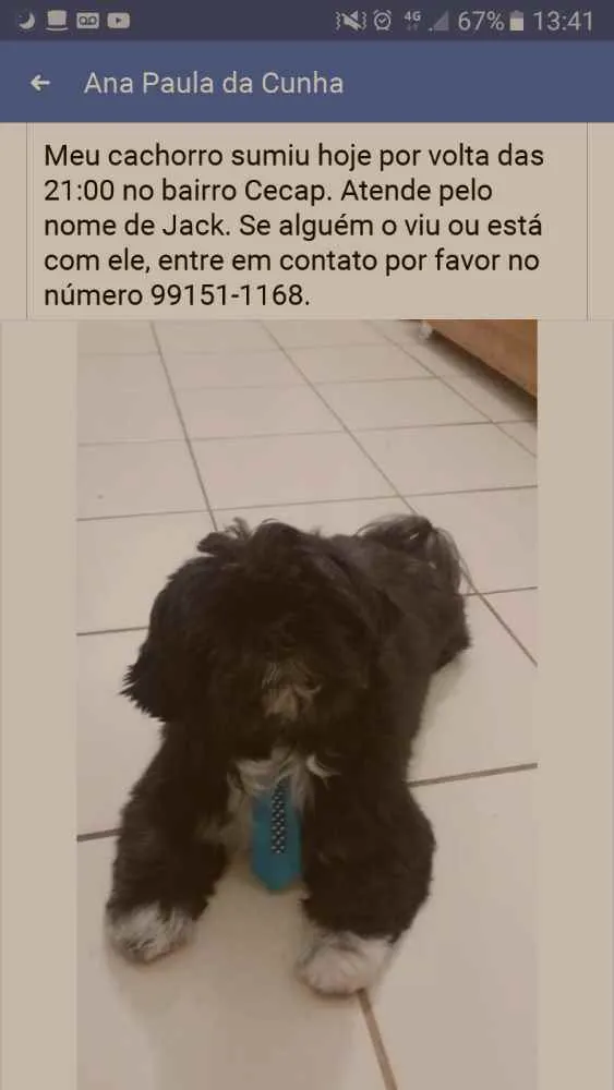 Cachorro ra a Shitsu  idade 5 anos nome Jack