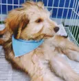 PABLO MIX