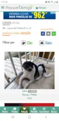 Lilica
