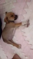 Não tem nome