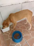 Nemo