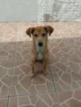 Nemo
