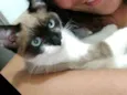 Melinda