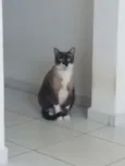 Hermione 