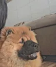 Olavo