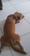 Tony