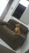 Tony